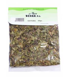 GAYUBA 50g de Bedar